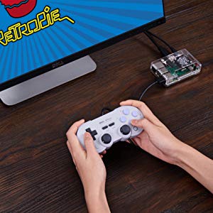 compatible with retro pi