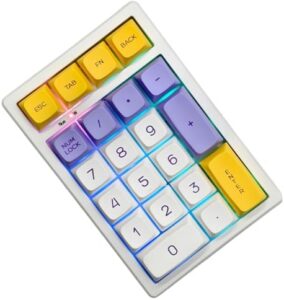 BOYI TD21 Hot Swap Numpad,21 Keys Mini Numpad Portable Keypad Bluetooth5.0/2.4G/Wired Number Pad Keyboard PBT Keycaps RGB Backlit Type-C Mini Keyboard (Ice Cream XDA Keycaps)