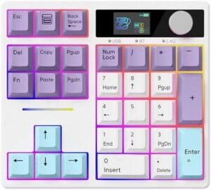 FKZ X BOYI TD31Pro Number Pad Keyboard,Hot Swap Mechanical Numeric Keypad with Knob& Screen Wireless BT5.0/2.4G/Type-C Wired Numpad with RGB Gasket Structure Programmable for Win/Mac/Gaming (Purple)
