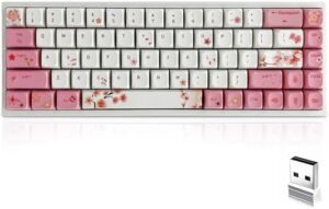 BOYI 65% Tri-Mode Wireless Hot-Swap Mechanical Keyboard,68 Mini RGB PBT Keycaps Type-C NKRO Programmable Gaming Keyboard with Gateron Yellow Switch (Cherry Blossom XDA Keycaps)