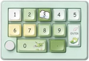 Mechanical Numpad with Knob,12Keys Mini Programmable Macro Pad Hot Swappable BT5.0/2.4Ghz/USB-C Wired Custom RGB Backlit Numeric Keypad for Lapotop/Office Copy/PC Gaming (Green)