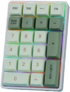 21-Key Bluetooth Wireless Mechanical Numeric Keypad Numpad with Full-Key Hot-Swappable Switches Multi-Color RGB Backlighting Mechanical Key Switches for Laptop, Mac (Matcha – Green Shaft)