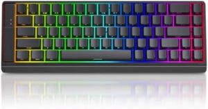 FKZ MC68 Rapid Trigger Gaming Keyboard,65% Adjustable Actuation Hall Effect Magnetic Switch Wired RGB Hot Swap Mechanical Keyboard Side Printed Keycaps 8K Hz Polling Rate for PC/Mac Gamer (Black)