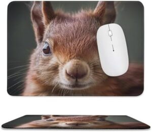 Mousepad Cute Red Squirrel Mouses Mat for Wireless Mouses Computer Keyboard Mat with Non-Slip Rubber Gaming Desk Pad Square Desk Mat for Office Laptop 7.9″x9.4″