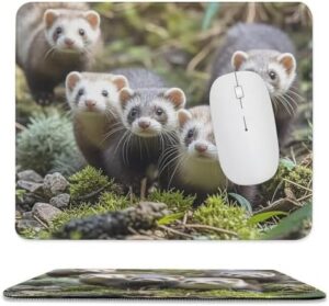 Mousepad Ferrets Mouses Mat for Wireless Mouses Computer Keyboard Mat with Non-Slip Rubber Gaming Desk Pad Square Desk Mat for Office Laptop 9.8″x11.8″