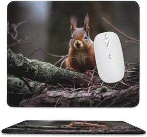 Mousepad Squirrel in The Wild Mouses Mat for Wireless Mouses Computer Keyboard Mat with Non-Slip Rubber Gaming Desk Pad Square Desk Mat for Office Laptop 9.8″x11.8″
