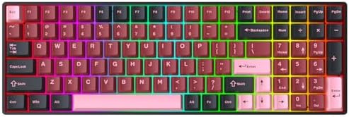 FKZ DK96 Wireless Mechanical Keyboard,Tri-Mode BT5.0/2.4GHz/USB-C Wired Hot Swap Custom RGB Gaming Keyboard Full Size 100 Keys Creamy Keyboard with Numpad Ergonomic NKRO Program Keyboard(Red&Black)