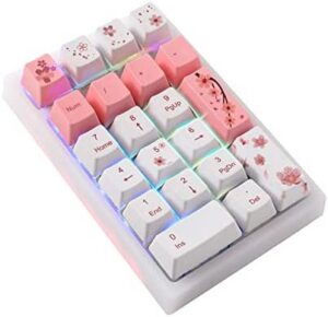 BOYI TD21 Hot Swappable Numpad,21 Keys Mini Numpad Portable Keypad Bluetooth 5.0/2.4GHz/Wired Number Pad Keyboard PBT Keycaps RGB Backlit Type-C Mini Keyboard (Romatic Cherry Blossom Keycaps)