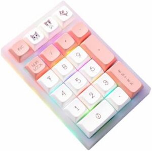 BOYI TD21 Hot Swappable Numpad,21 Keys Mini Numpad Portable Keypad Bluetooth 5.0/2.4GHz/Wired Number Pad Keyboard PBT Keycaps RGB Backlit Type-C Mini Keyboard (BOYI Cute Cat XDA Keycaps)