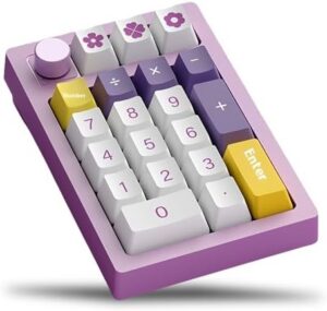 FKZ K20 Mechanical Numpad,Gasket VIA/QMK Programmable Macro Numeric Keypad Hot Swap BT5.0/2.4Ghz/USB-C Wired Custom RGB 19 Keys Mini Wireless Number Pad with Knob for PC/Laptop/Gaming (Purple)